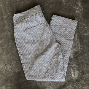Ann Taylor Pant